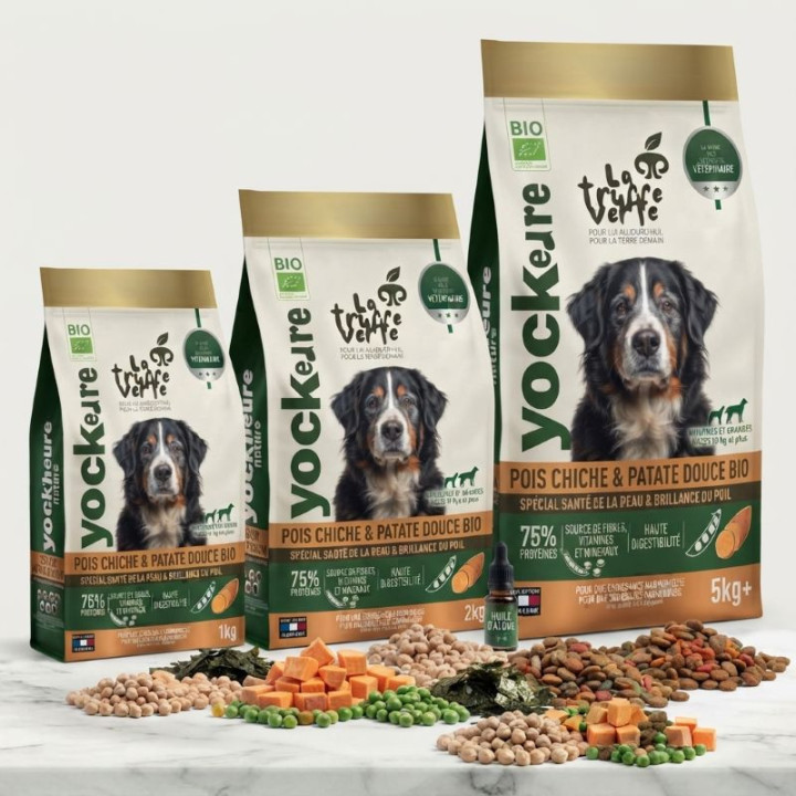 Croquettes de Pois chiche & Patate douce BIO