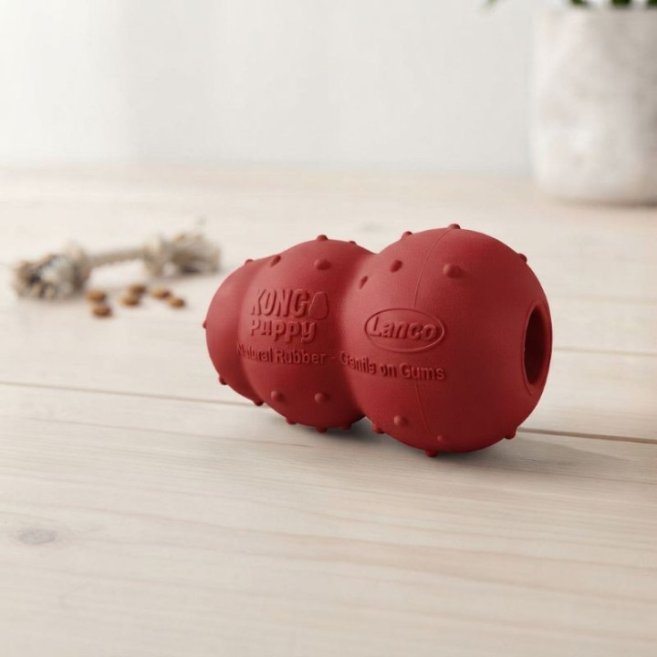 KONG Puppy