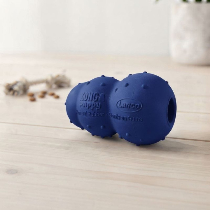 KONG Puppy